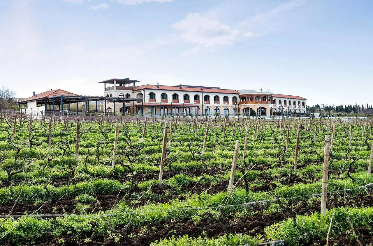 Akhasheni Wine Resort & Spa — კახეთი, საქართველო